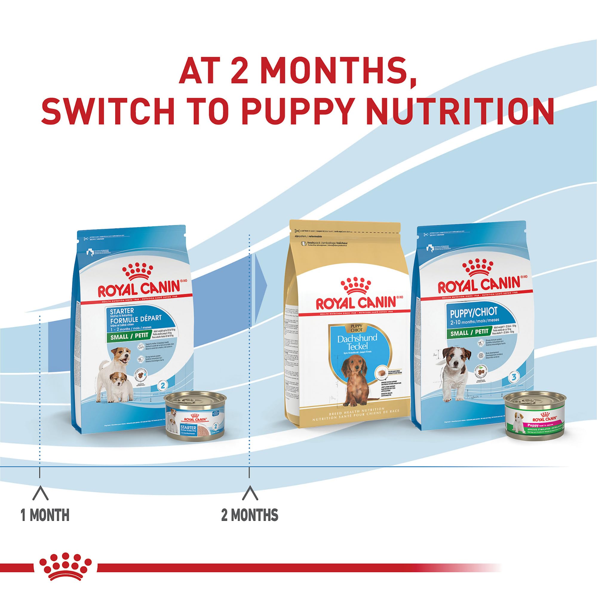 Royal Canin Small Starter croquettes réhydratables transformées en purée.