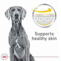 Royal Canin Soin Peau Sensible terrine dans sa sauce, portion idéale pour repas.