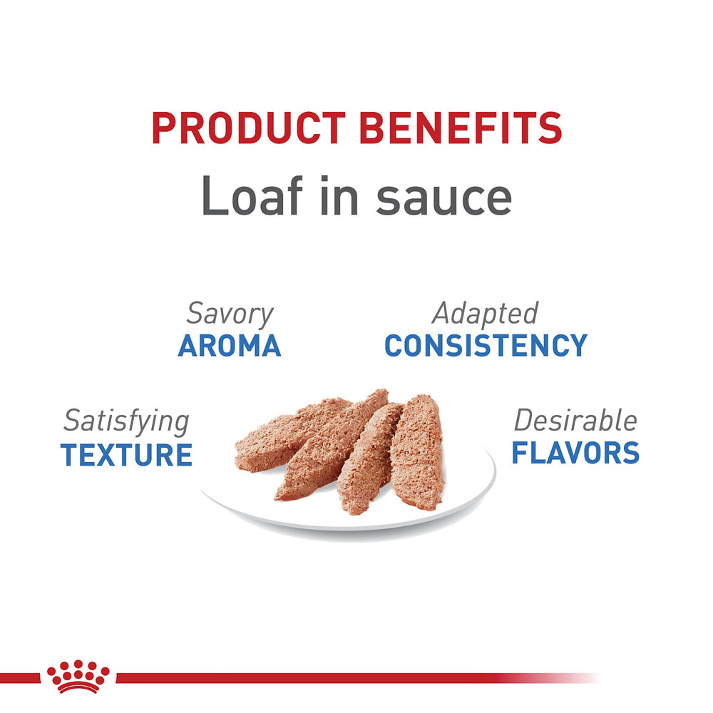 ROYAL CANIN Chat Adulte, portion servie, texture tendre et appétente.
