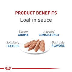 ROYAL CANIN Chat Adulte, portion servie, texture tendre et appétente.