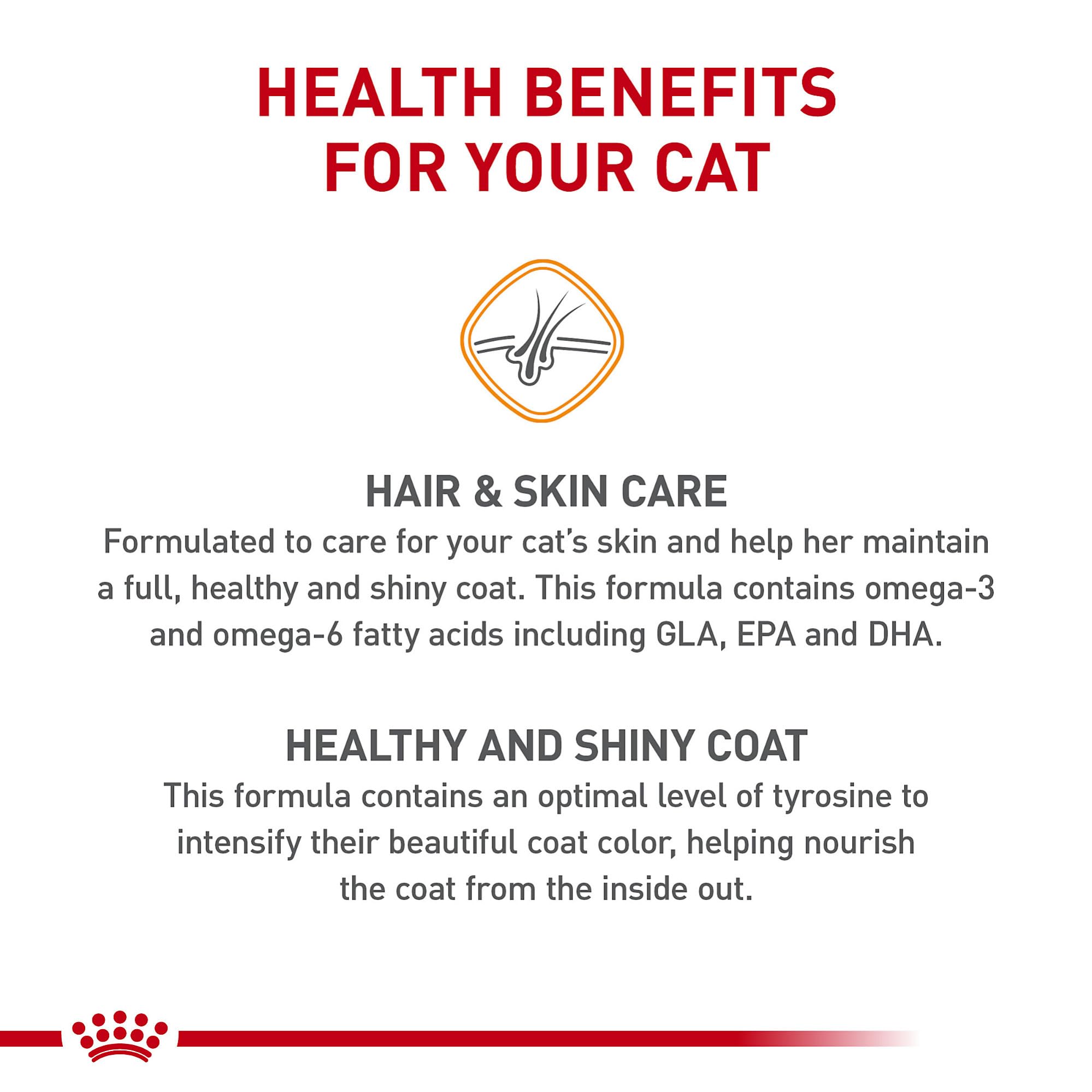 Royal Canin Hair & Skin Care chat-croissance-poils, repousse saine