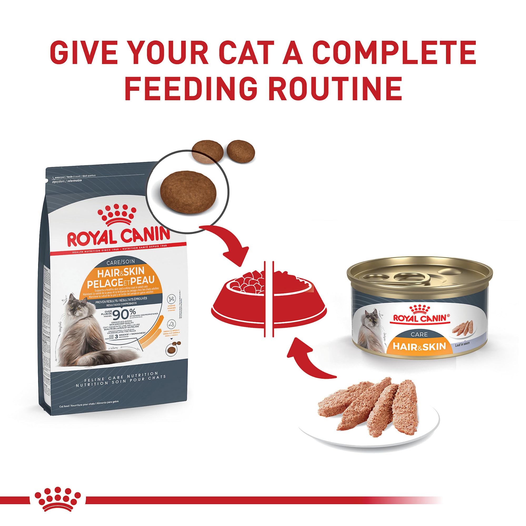 Chat ROYAL CANIN Hair & Skin Care détendu près de sa gamelle.
