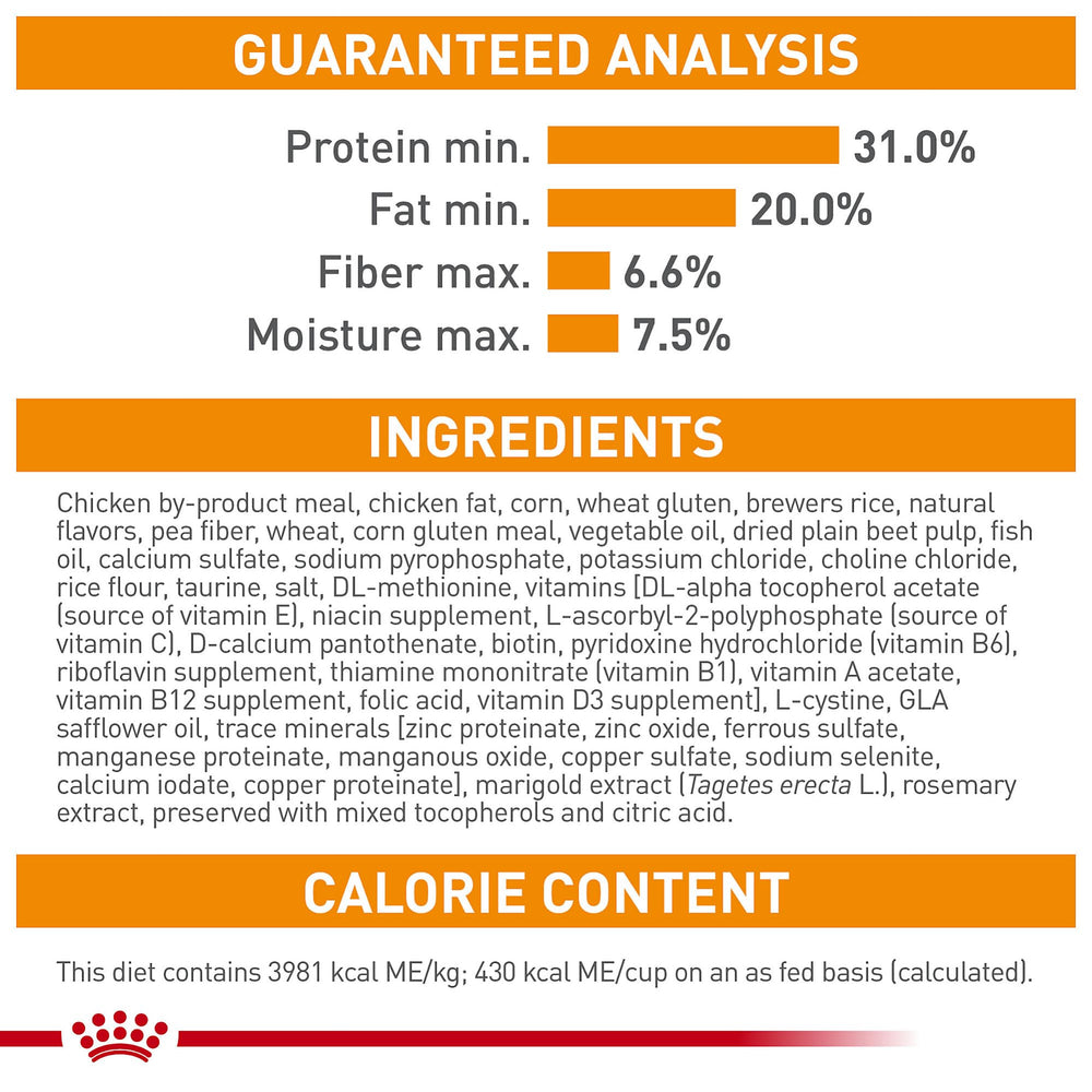 Pelage brillant ROYAL CANIN Hair & Skin Care après utilisation régulière.