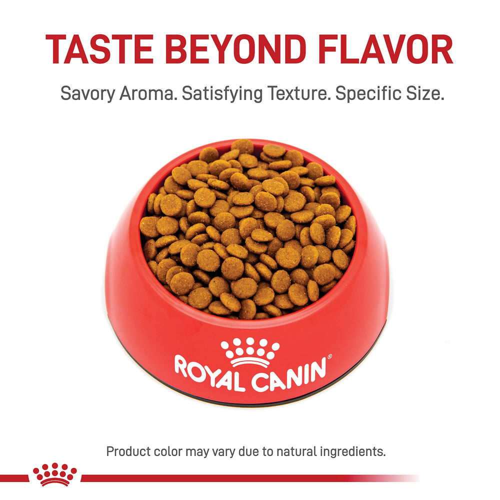 Royal Canin Hair & Skin Care chat-usage-humide, repas variés
