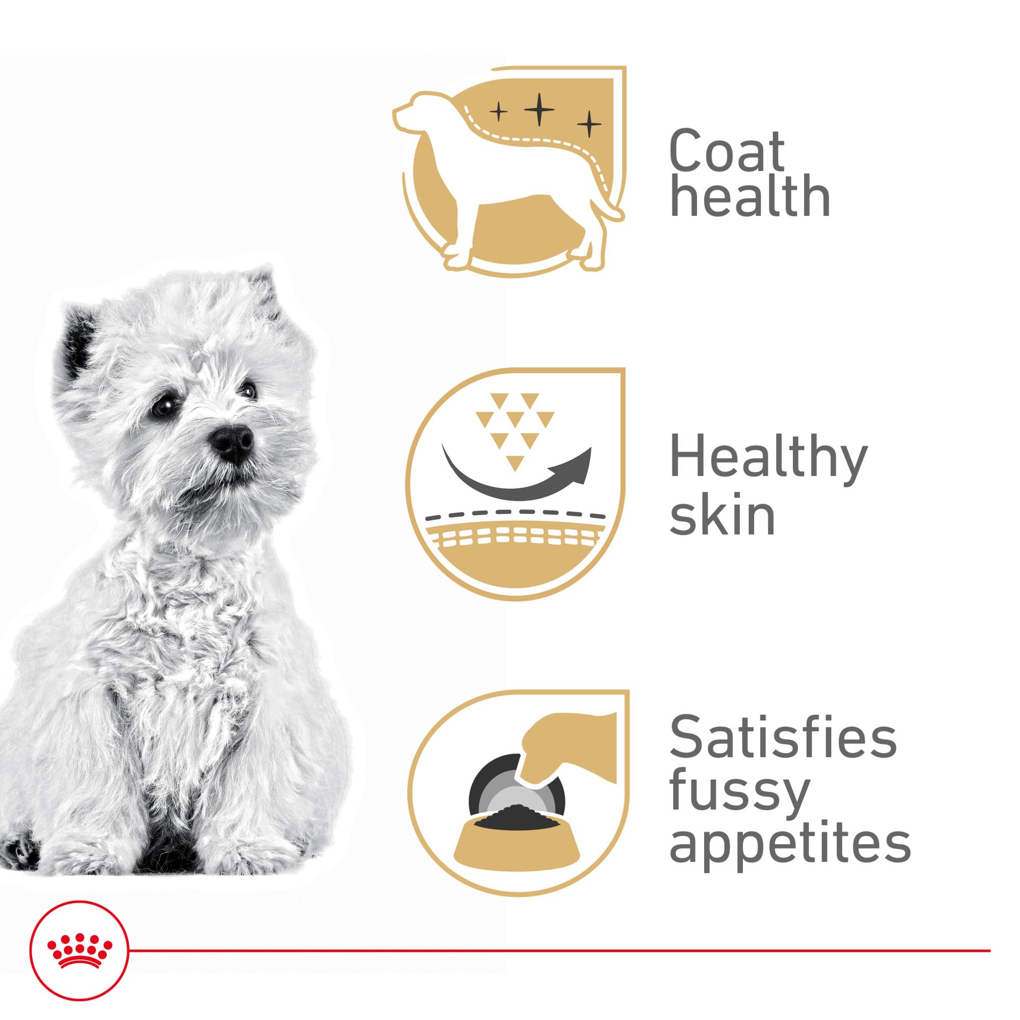 Royal Canin West Highland White Terrier Adulte — soutien peau et poil pour un pelage sain.