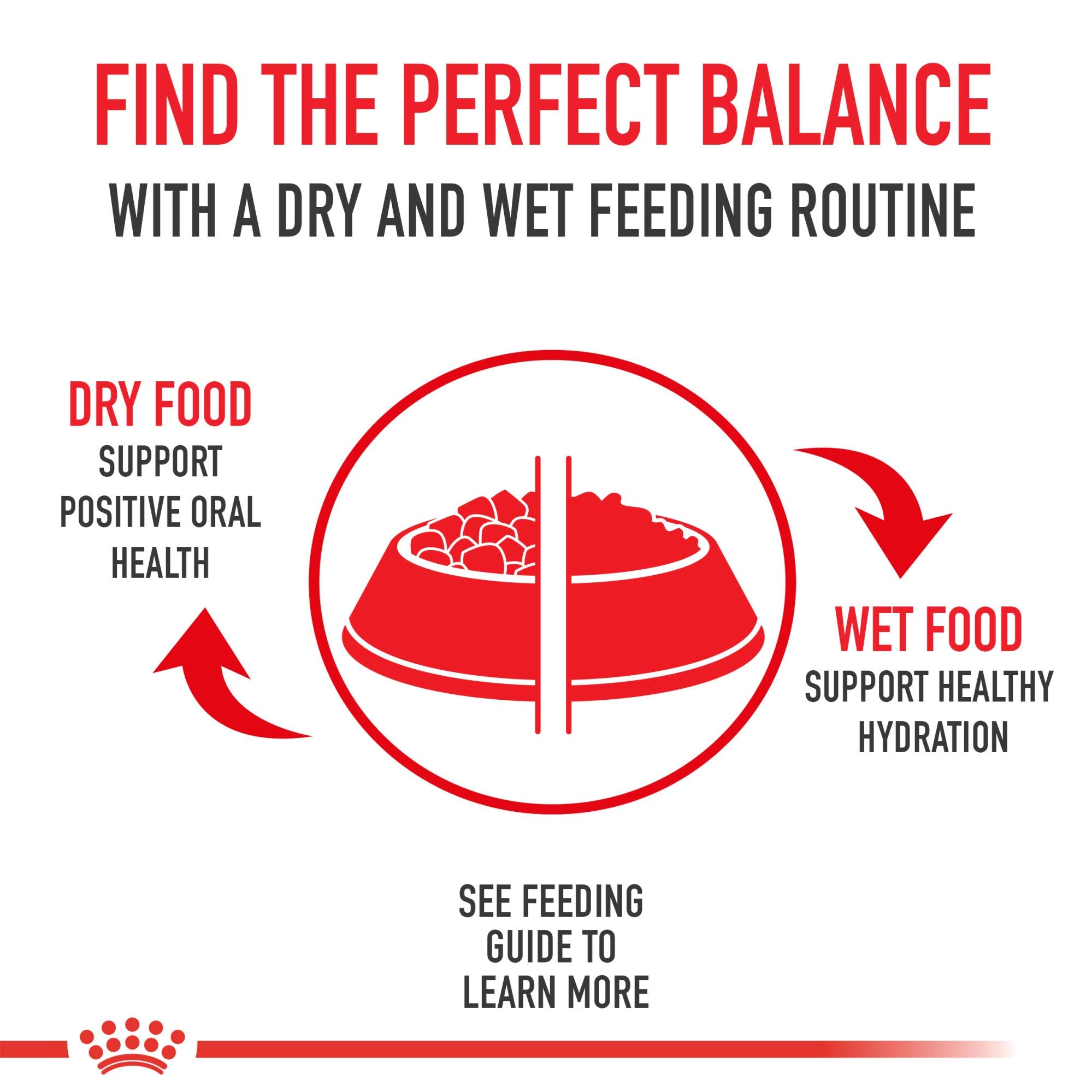 ROYAL CANIN sterilise-castre pack-24-boites pratique pour planifier les repas