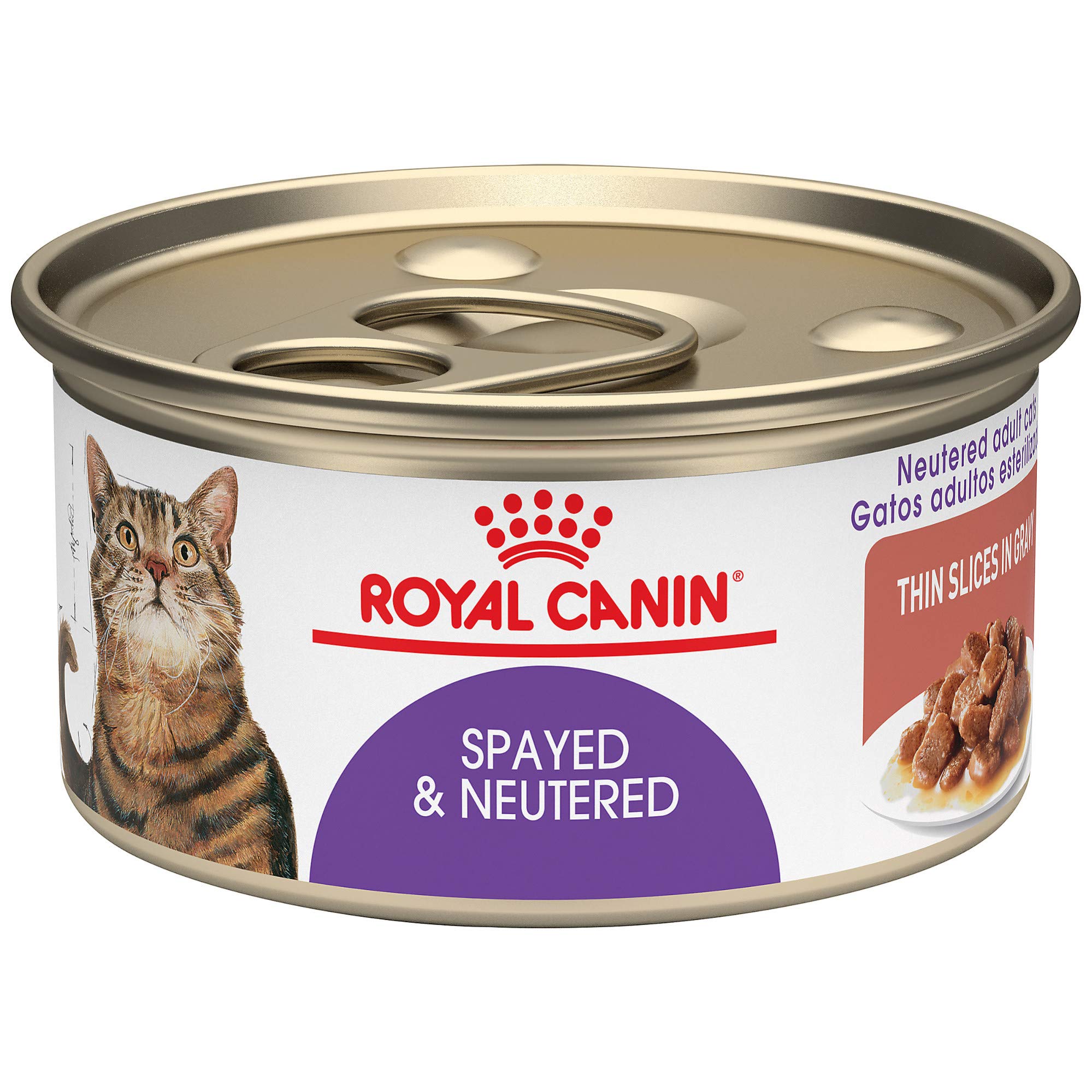 ROYAL CANIN sterilise-castre tranches fines en sauce dans bol, satiété accrue