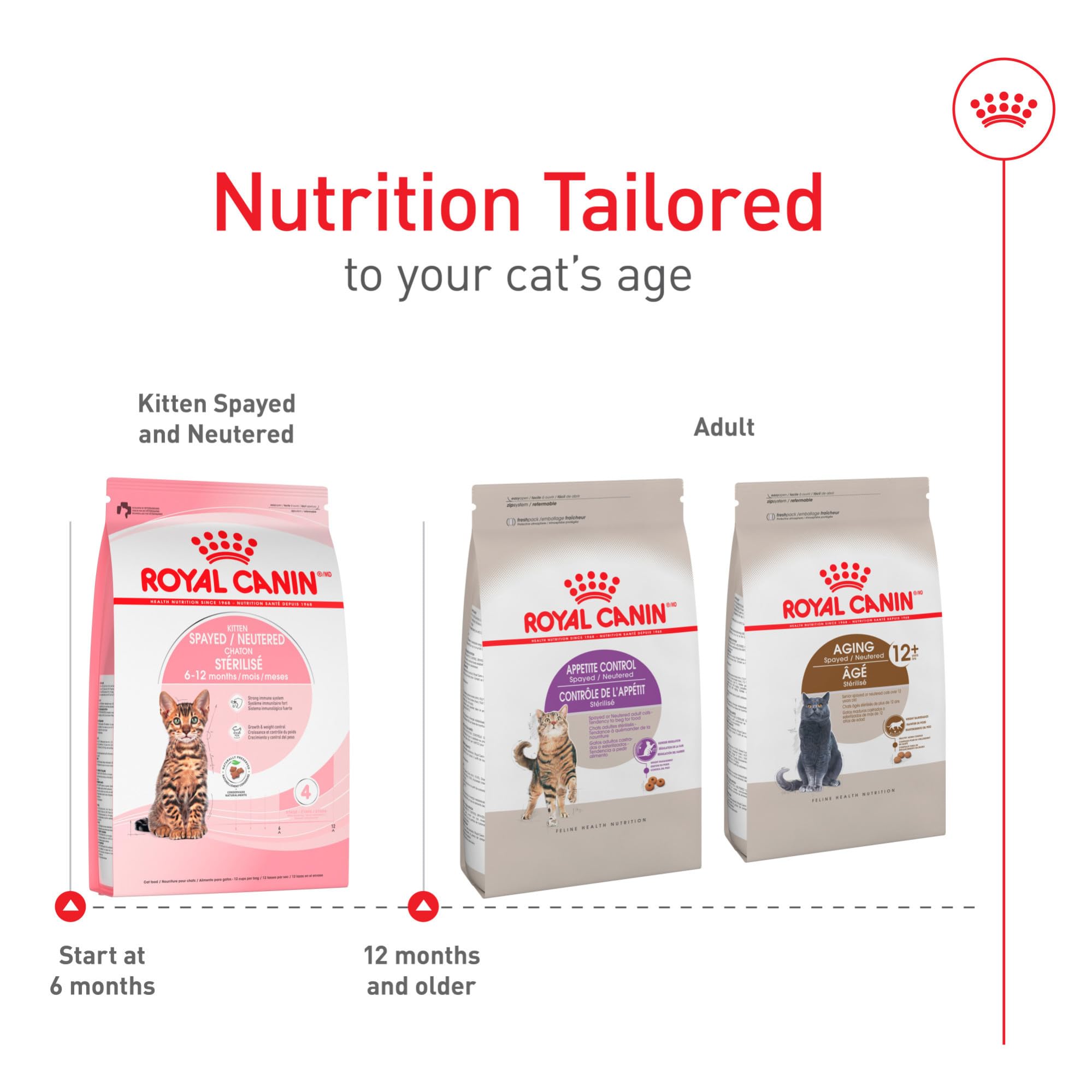 Système immunitaire en développement renforcé par les antioxydants de Royal Canin.