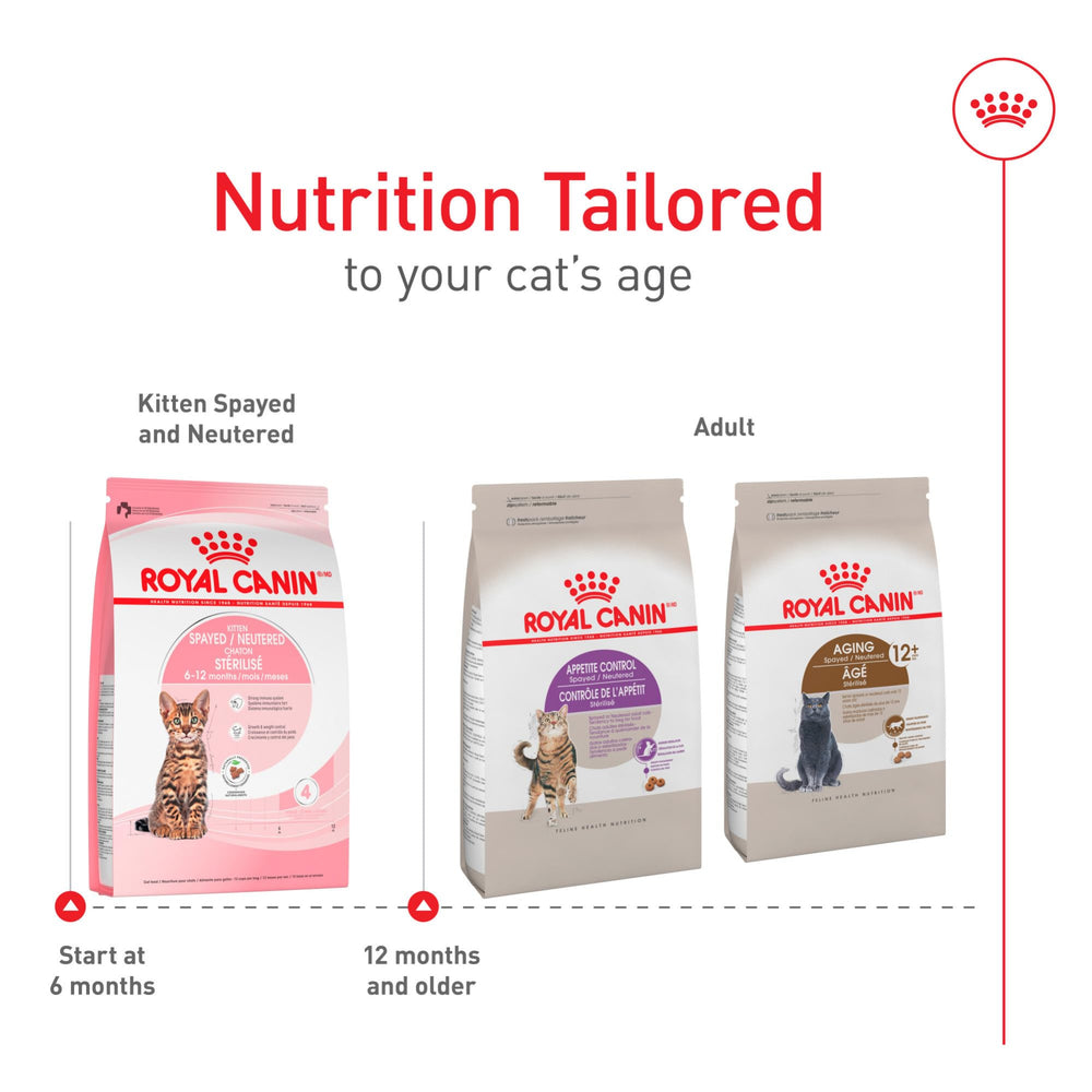 Système immunitaire en développement renforcé par les antioxydants de Royal Canin.