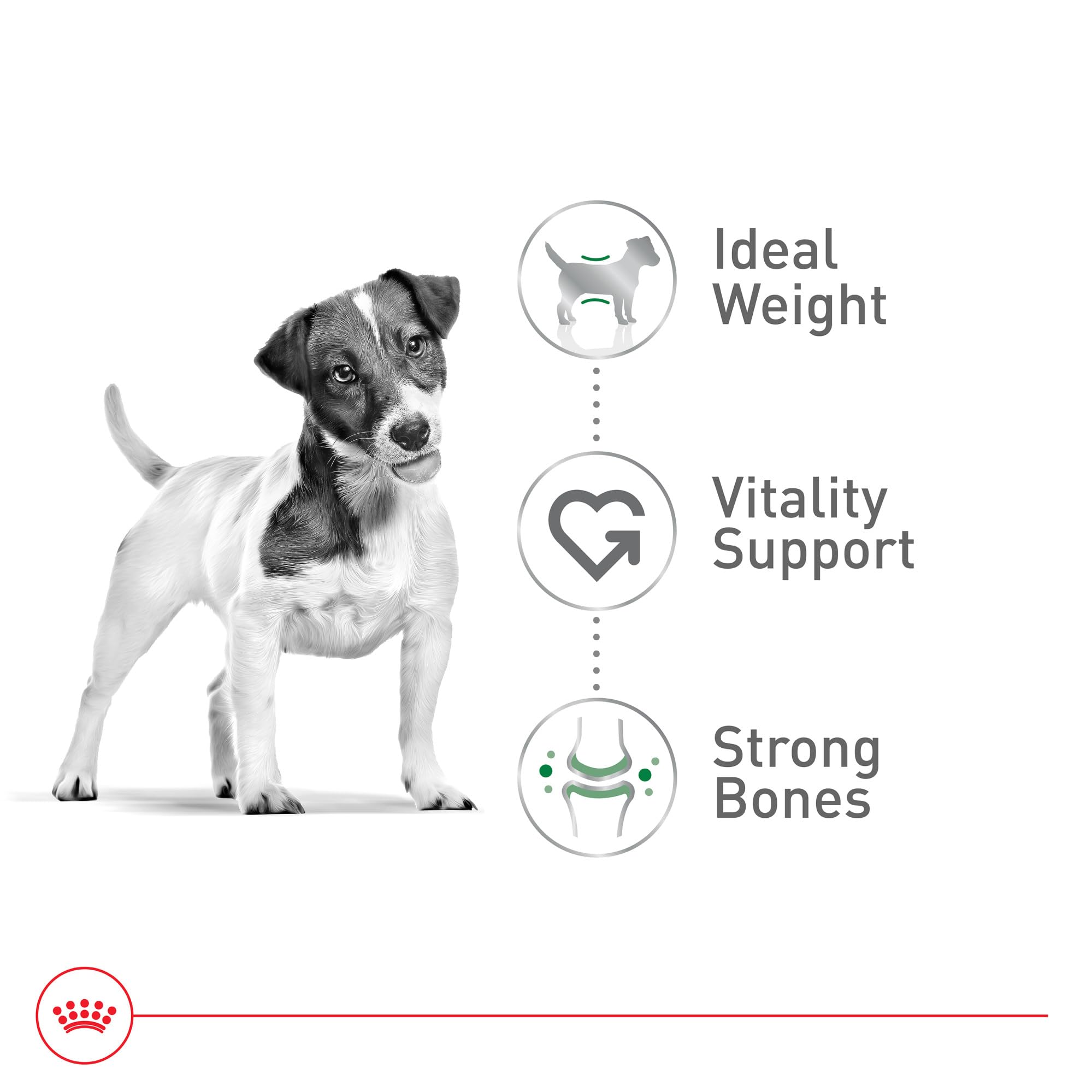 Royal Canin Taille Santé Nutrition Petit Chien 8+ soutien vitalité cœur reins cerveau