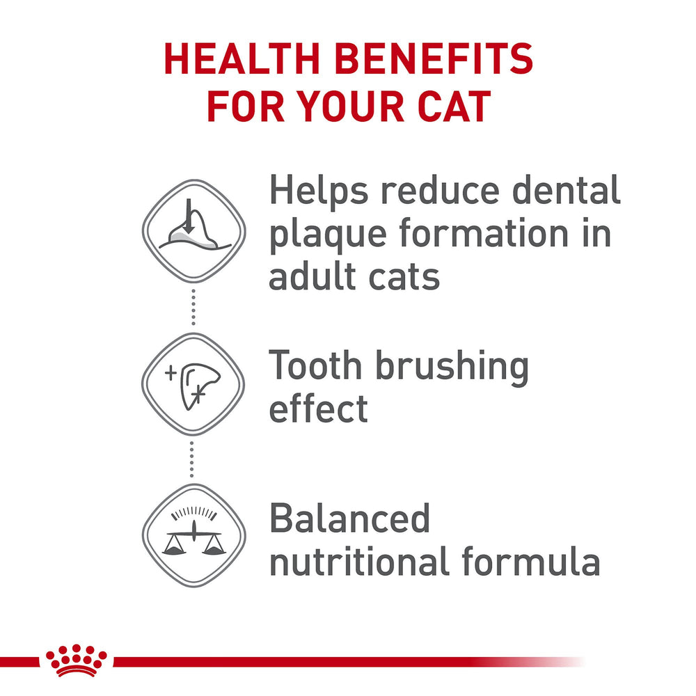Royal Canin croquettes chat adulte, texture unique pour l'entretien bucco-dentaire.