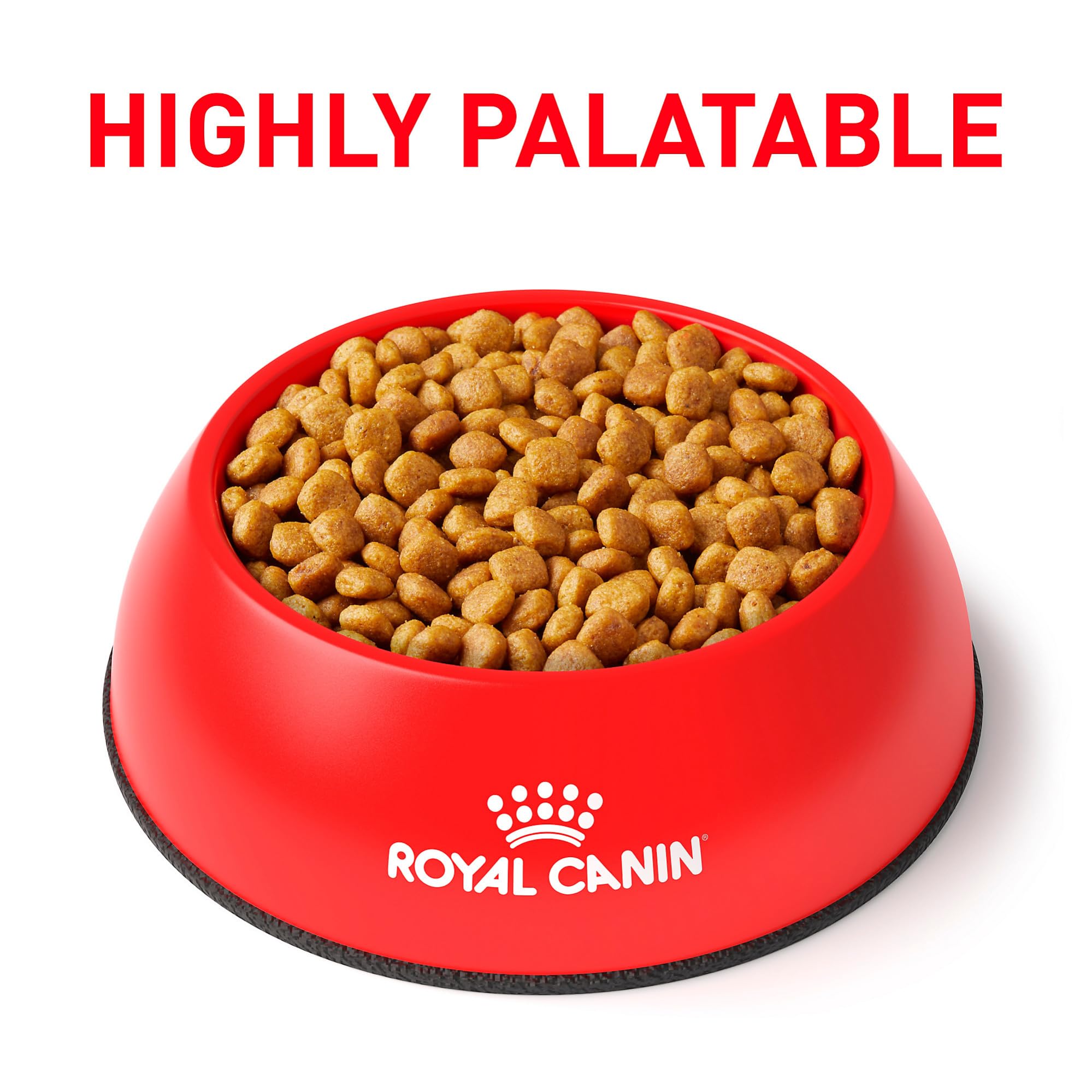 Sac de 8 kg ROYAL CANIN Urinaire SO, alimentation sèche pratique pour chien