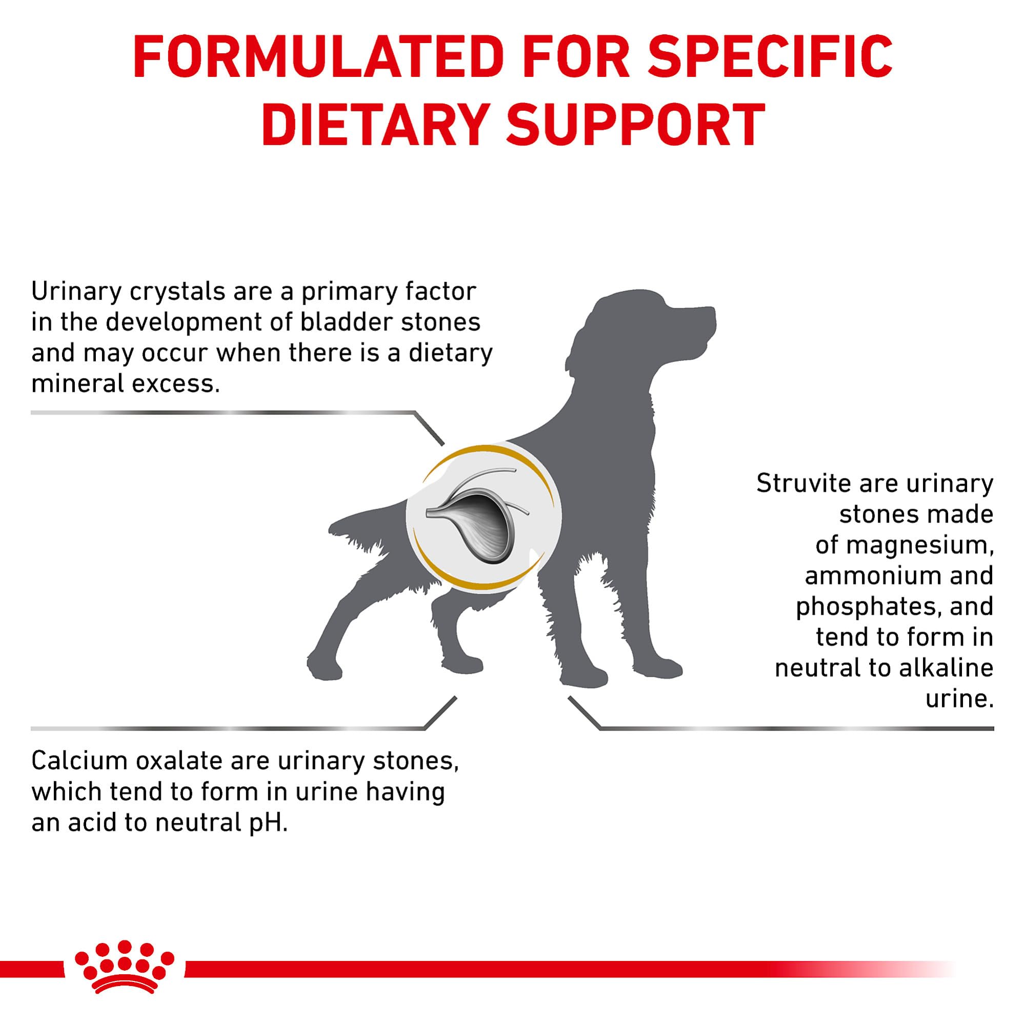 Guide de portions ROYAL CANIN Urinaire SO, aide à planifier les repas quotidiens