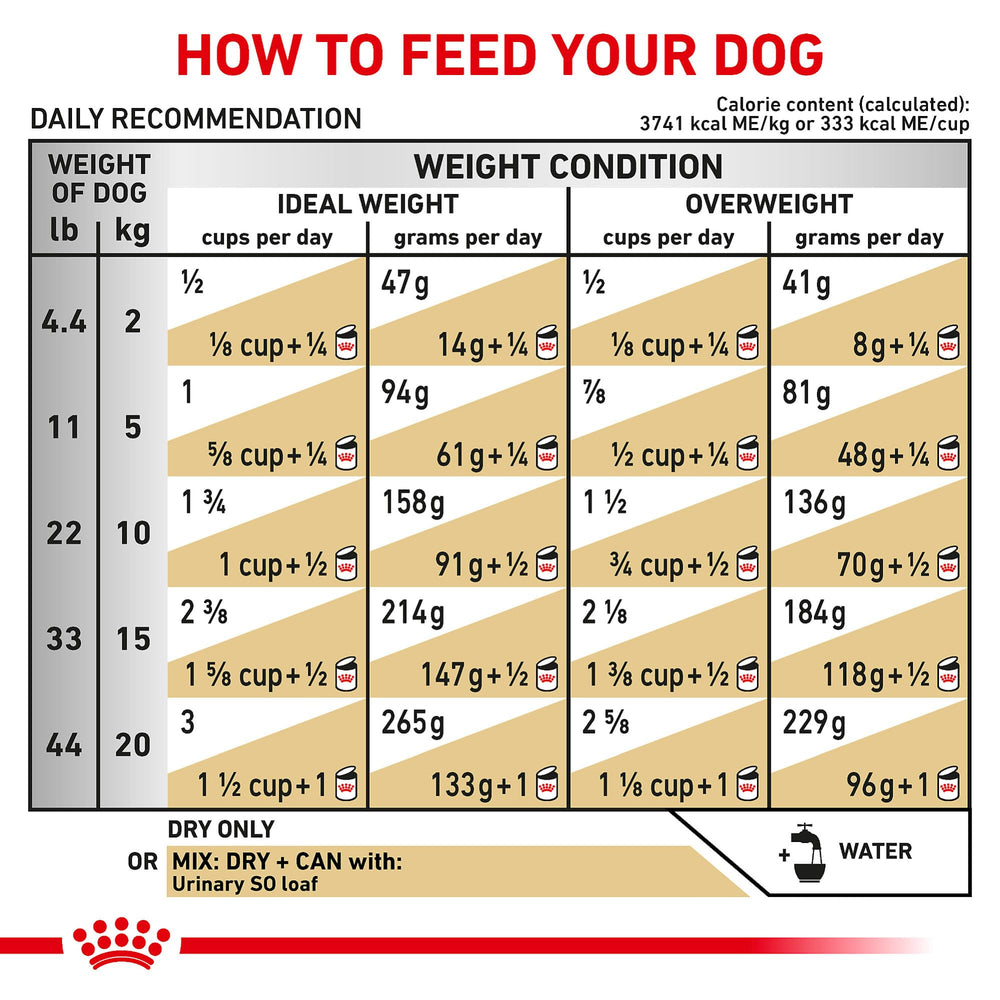 Transition progressive ROYAL CANIN Urinaire SO, passage en douceur vers ce régime