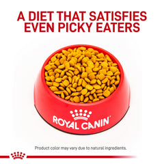 Croquettes Royal Canin Urinary SO – régime modéré, contrôle du poids.