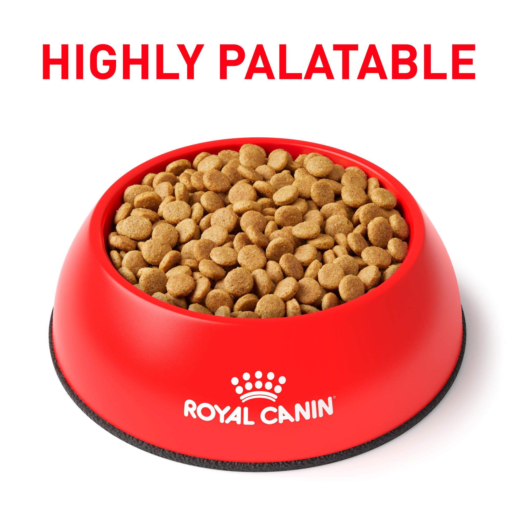 Royal Canin Urinary SO – croquettes petite taille favorisant l’alimentation et le confort.