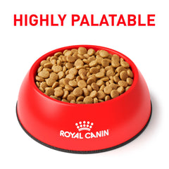 Royal Canin Urinary SO – croquettes petite taille favorisant l’alimentation et le confort.