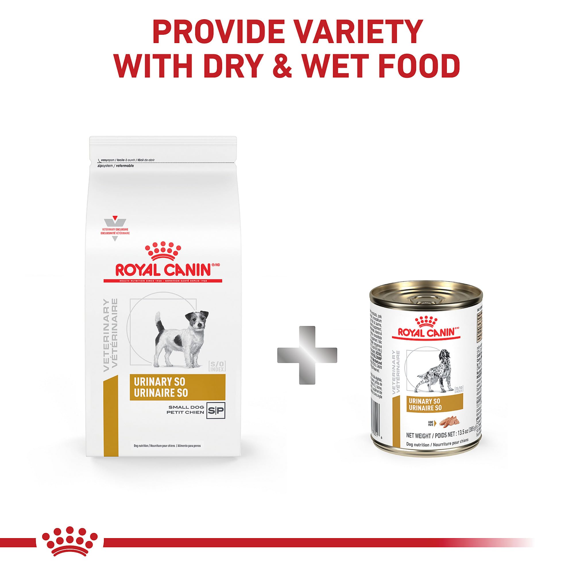 Royal Canin Urinary SO – indice S/O et environnement urinaire optimal.