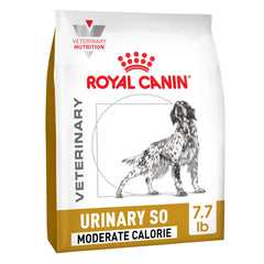 Sachet Royal Canin Urinary SO montrant des croquettes pour soutenir urinaire et poids.