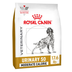 Royal Canin Urinary SO sèche pour chien: croquettes croustillantes soutenant l'équilibre urinaire.