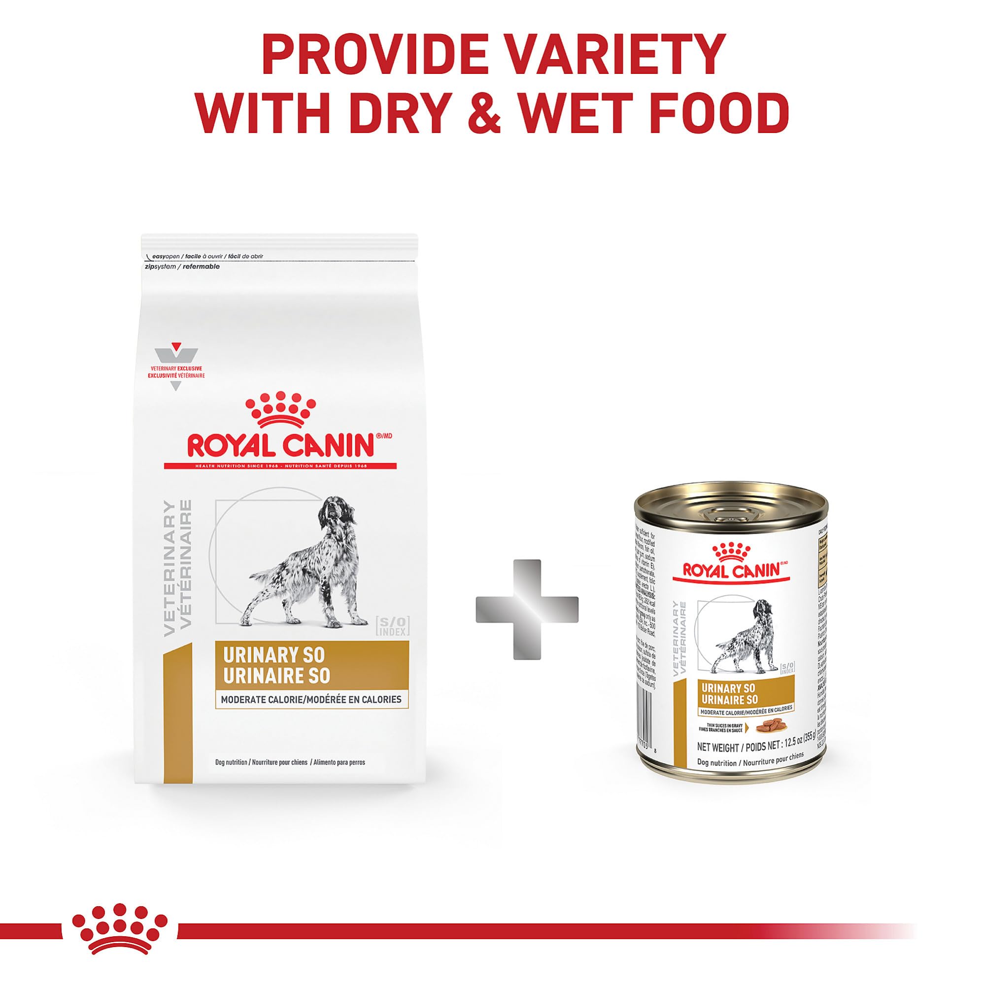 Royal Canin Urinary SO sèche pour chien: soutien urinaire et hydratation optimisée.