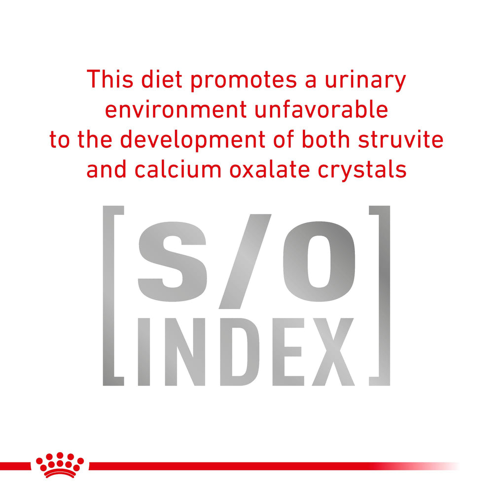 Soin vessie grâce à ces friandises ROYAL CANIN