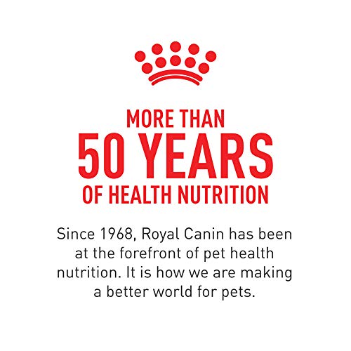 Royal Canin usage pendant lactation, alimentation simple et pratique.