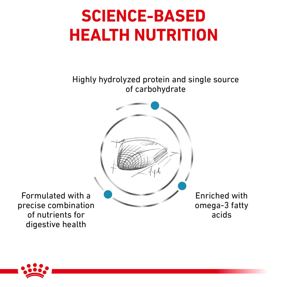 Chat dégustant Royal Canin HP: croquettes hydrolysées pour digestion douce.