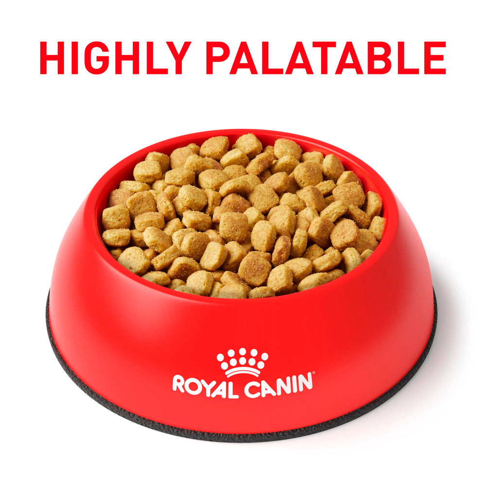 Royal Canin Régime Vétérinaire Hypoallergénique Mod Calorie, oméga-3 pour peau et pelage sains.