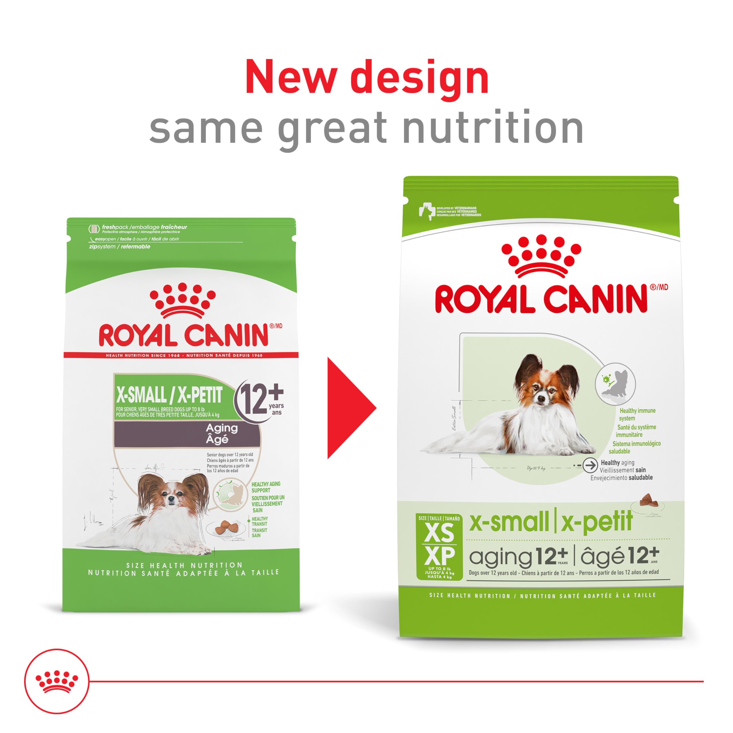 Gros plan sur croquettes miniatures digestibles pour chiens âgés et de petites races