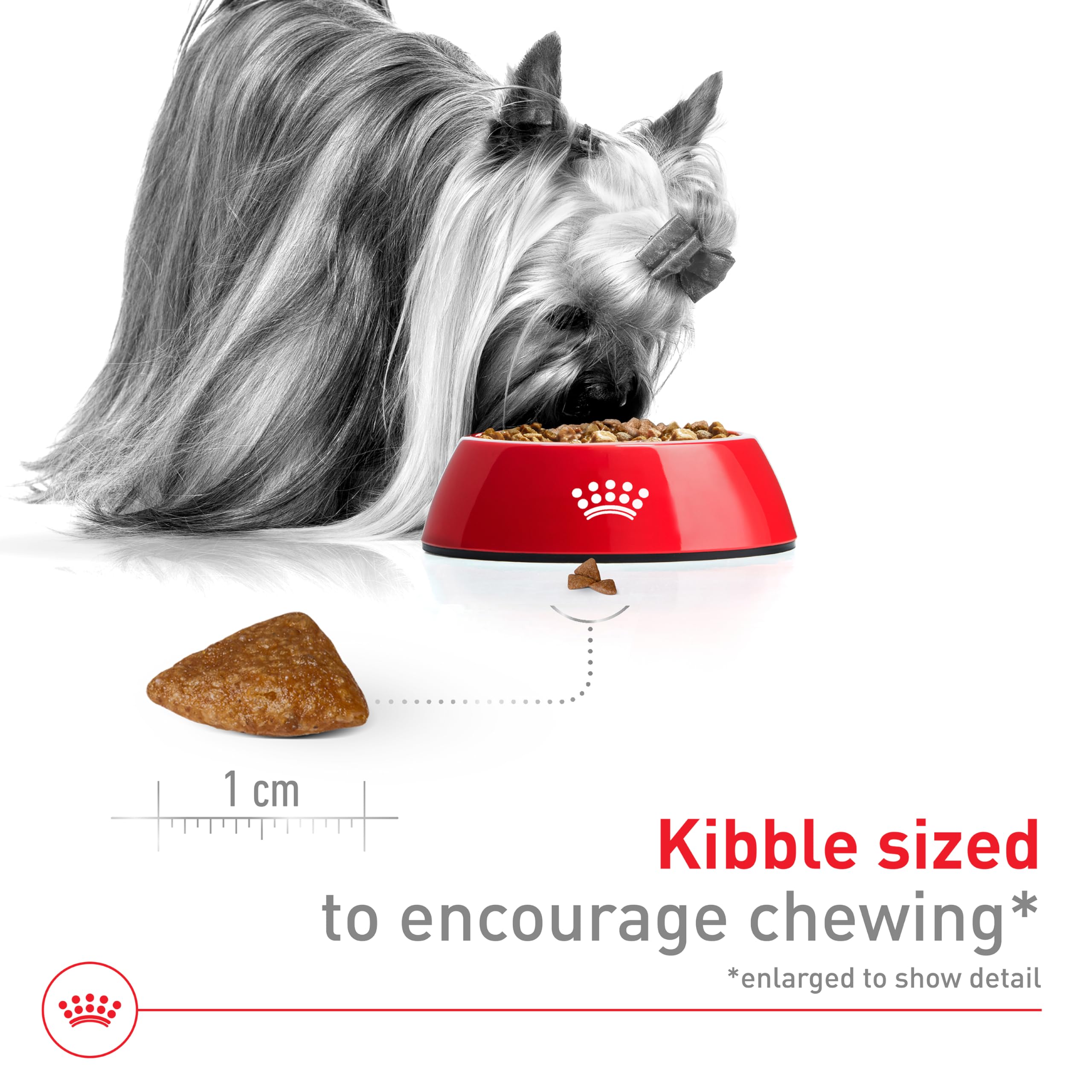 Croquettes Royal Canin X-Small Aging 12+ réhydratables pour mâchoires délicates