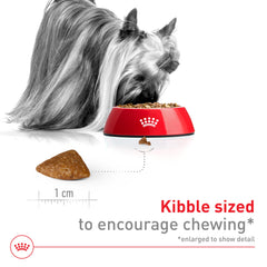 Croquettes Royal Canin X-Small Aging 12+ réhydratables pour mâchoires délicates