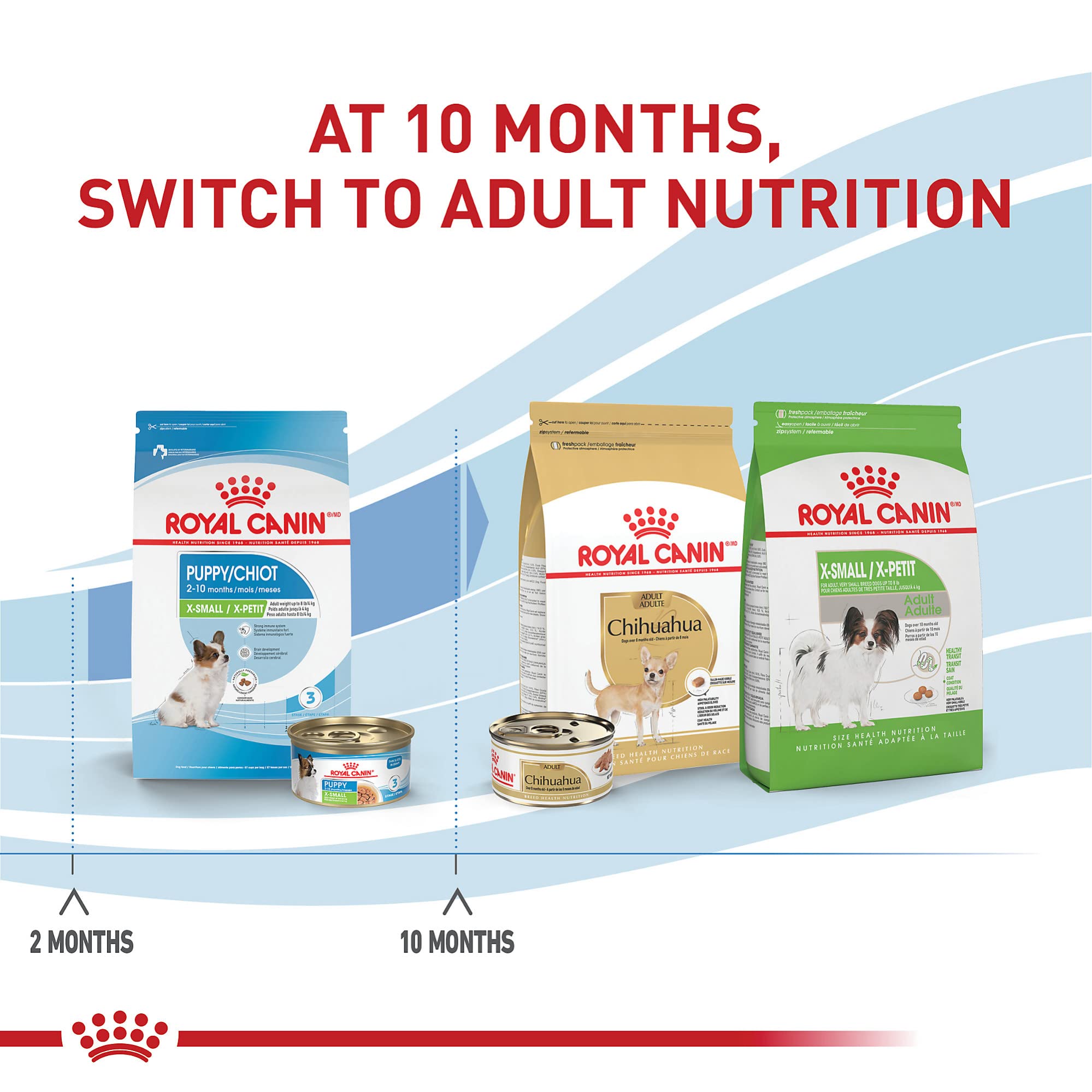 ROYAL CANIN XS PUPPY – alimentation mixte avec aliments humides.