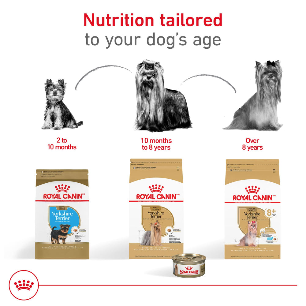 Royal Canin Yorkshire Terrier 8+ croquettes aux arômes libérés en réchauffant.