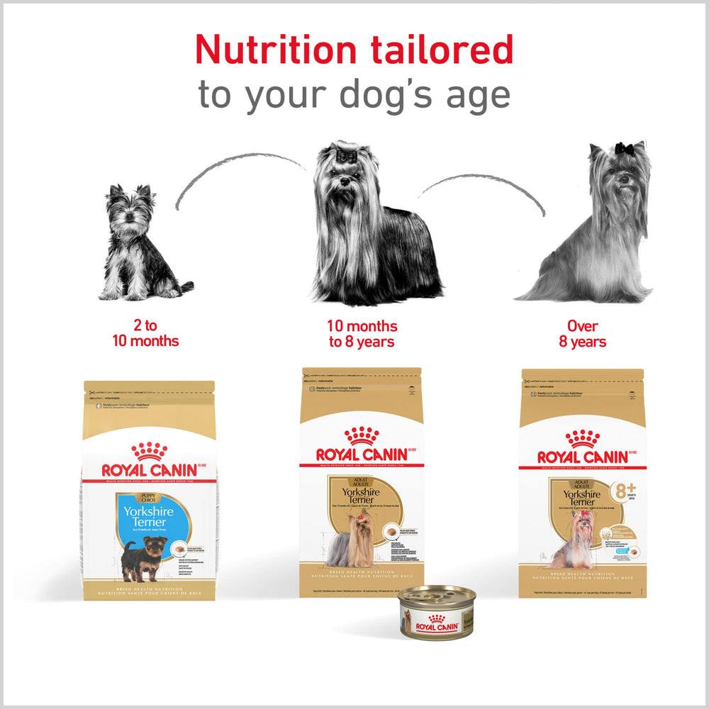 Royal Canin Yorkshire Terrier Adulte - controle qualite securite nutrtion précise