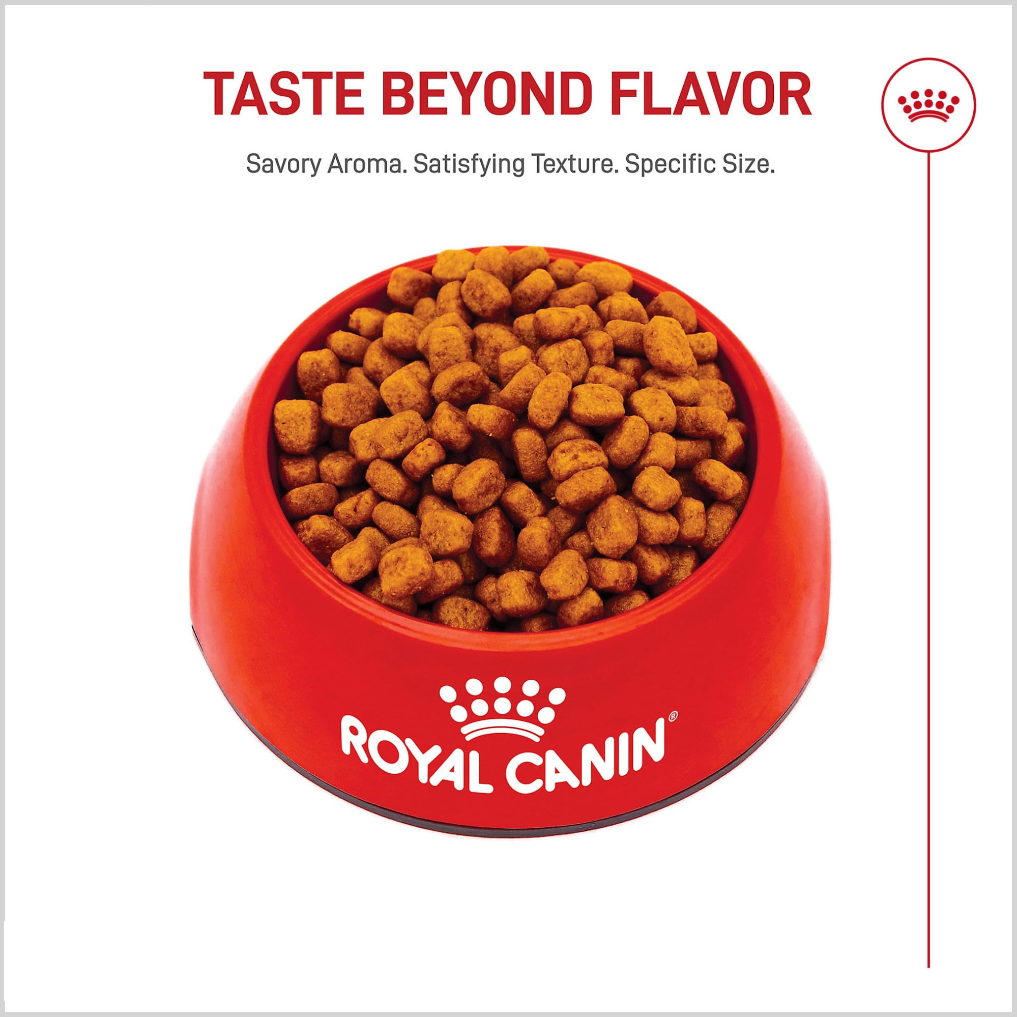 Royal Canin Yorkshire Terrier Adulte - croquettes adapte au quotidien des petits chiens