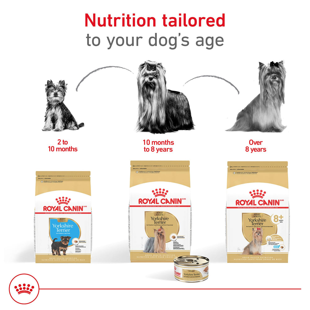 ROYAL CANIN Yorkshire Terrier alimentation complète, idéale en complément du croquant sec.