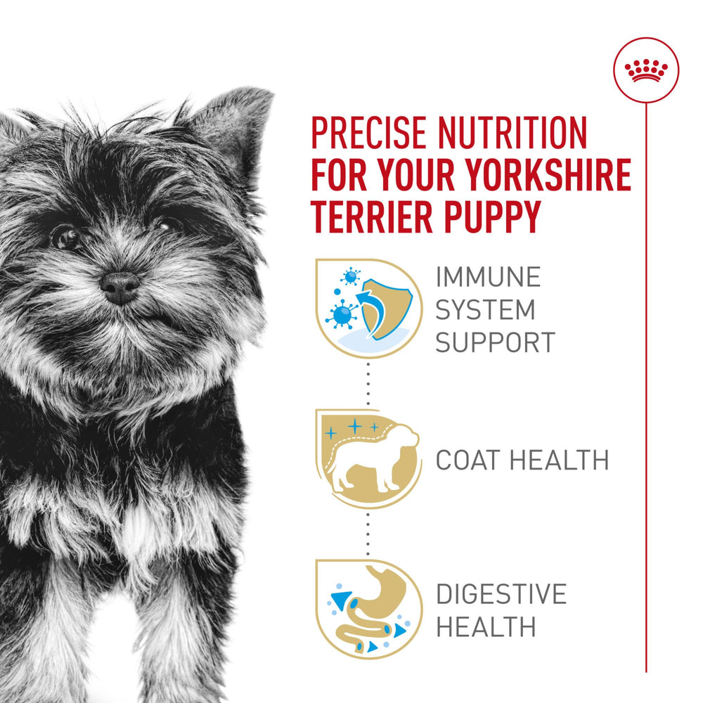 Royal Canin: peau et poil sains grâce oméga-3 et biotine.