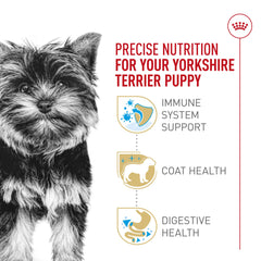 Royal Canin: peau et poil sains grâce oméga-3 et biotine.