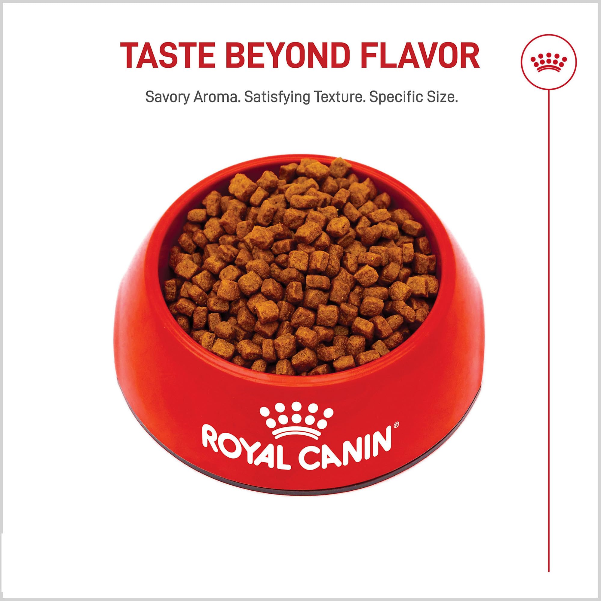 Royal Canin: texture croquante idéale pour chiots terrier yorkshire.
