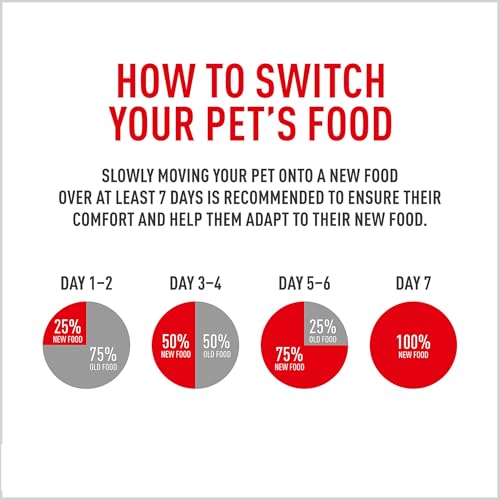 Nutriments peau et poil fournis par Royal Canin Yorkshire Terrier