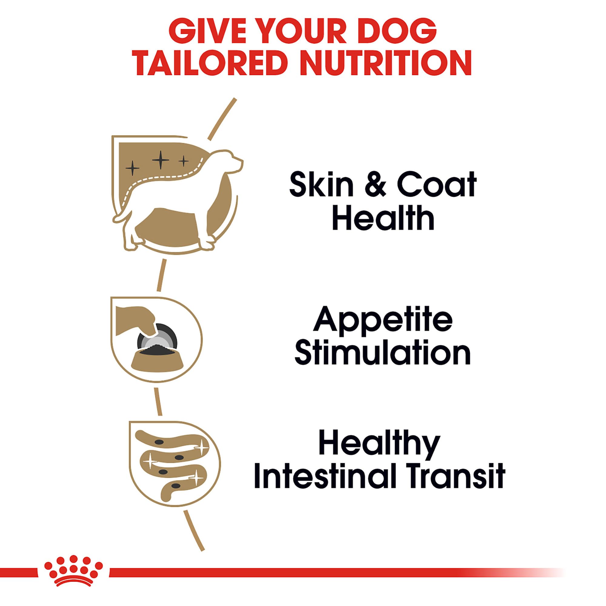 ROYAL CANIN Yorkshire Terrier pelage brillant grâce à des nutriments clés.