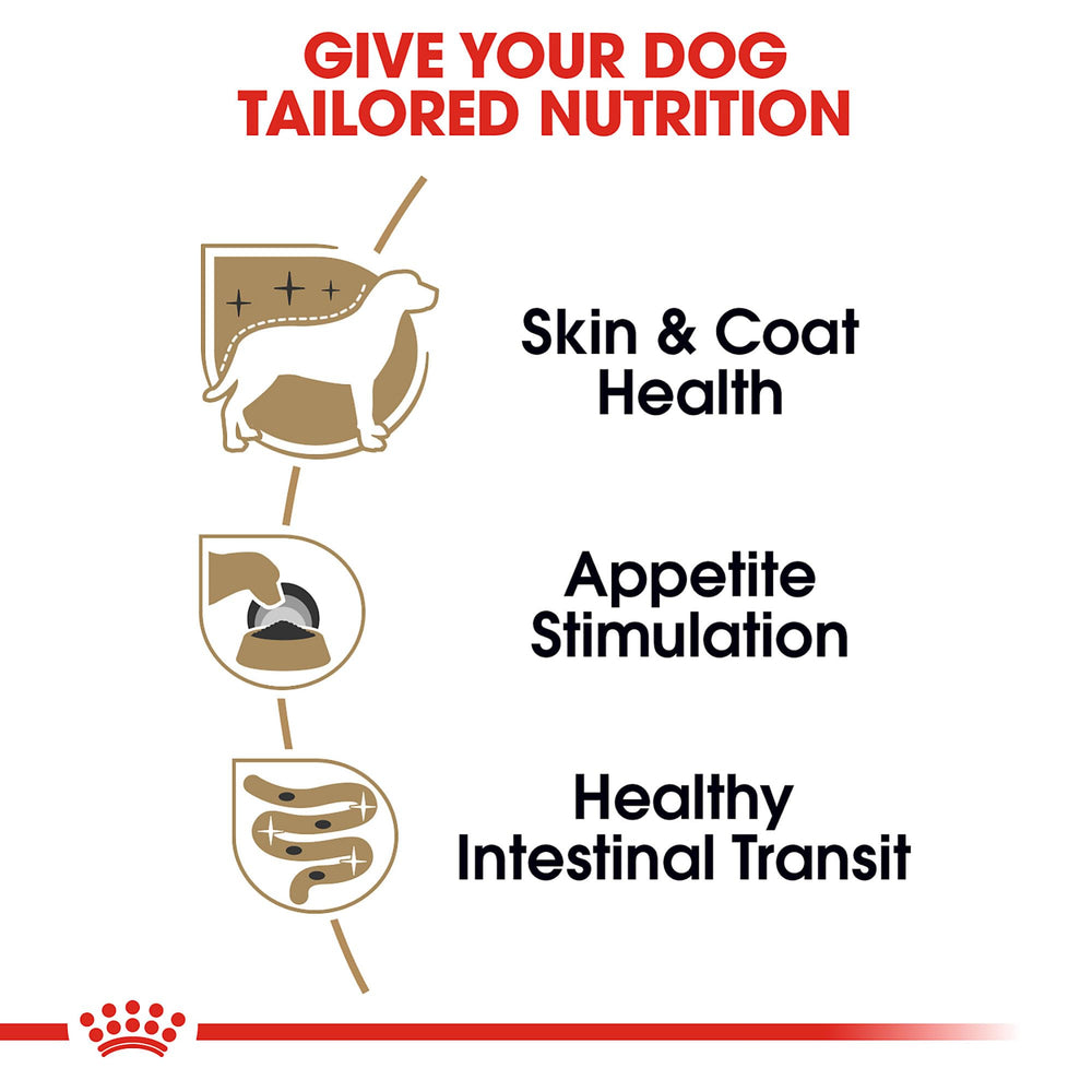 ROYAL CANIN Yorkshire Terrier pelage brillant grâce à des nutriments clés.