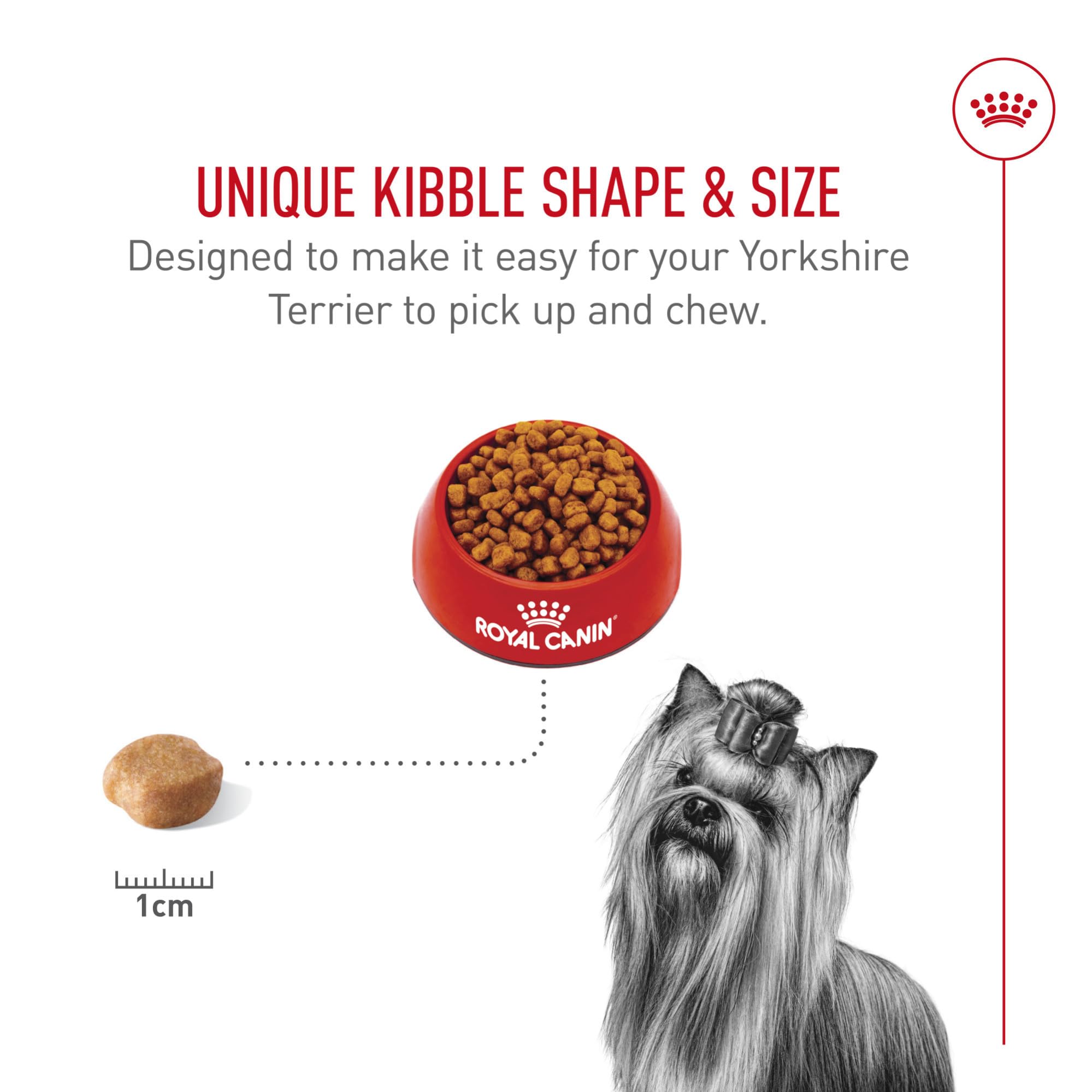 Tartre reduit par la mastication avec Royal Canin Yorkshire Terrier