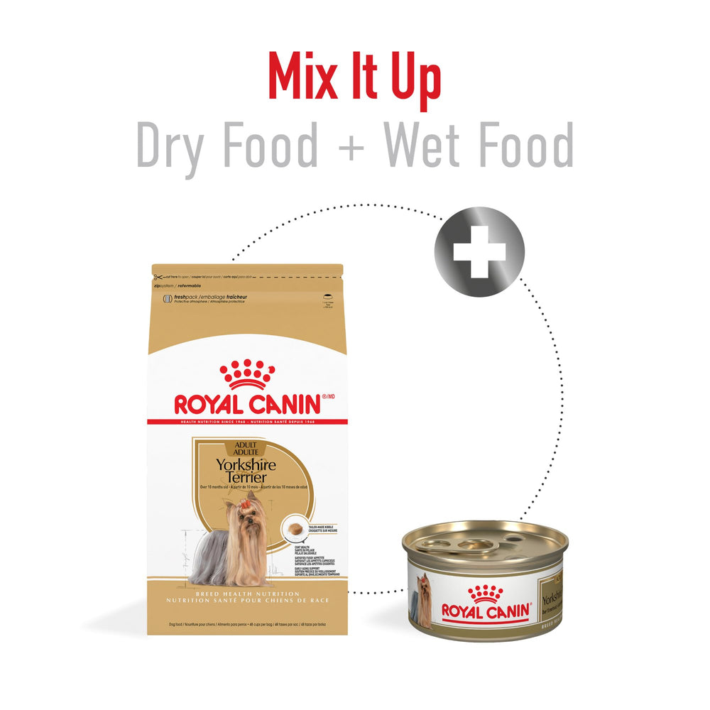 Texture croquettes favorisant l appui et la prise pour yorkshire-terrier