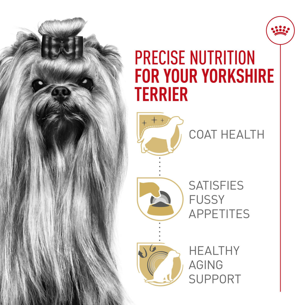 Vitalite du chien ameliorée par nutriments ciblés chez Royal Canin Yorkshire Terrier