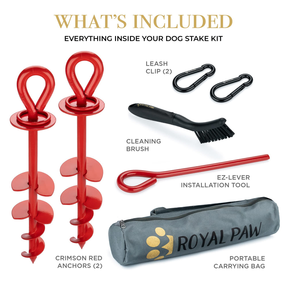 Royal Paw attache-chien plage plein-air – pratique pour sécuriser votre chien en bord de mer