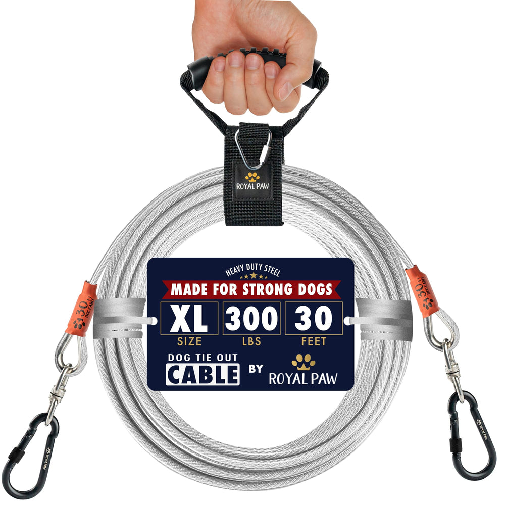 Câble d'attache Royal Paw 30 pieds pour chien puissant, prêt pour l'extérieur.