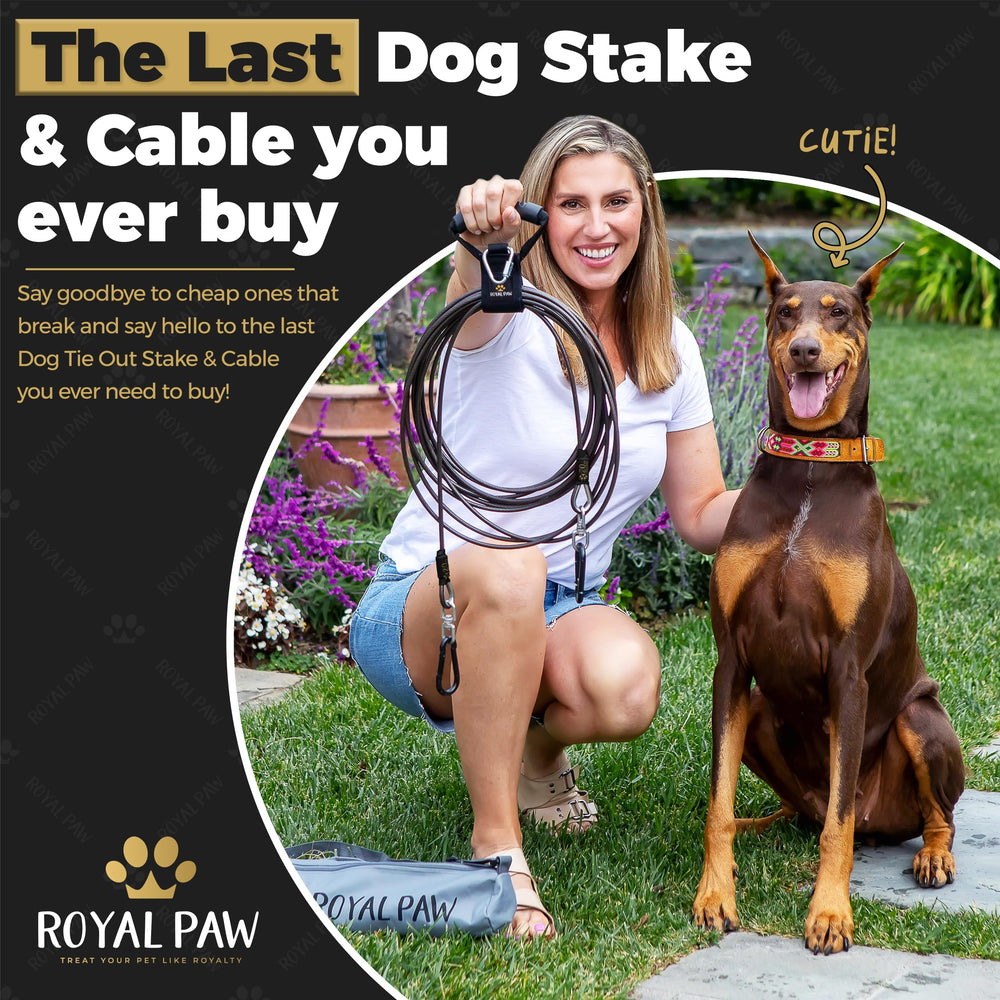 Royal Paw conception américaine avec garantie prolongée.