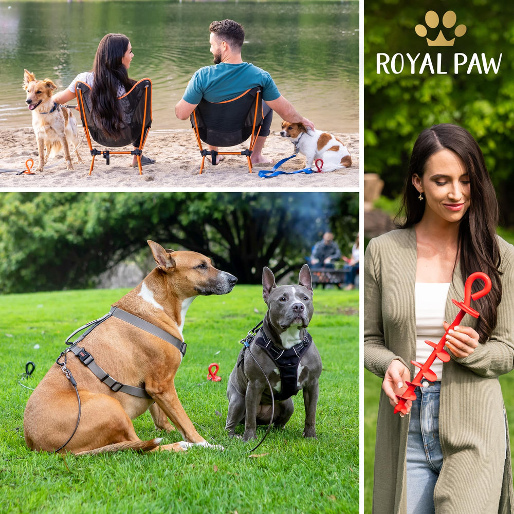 ROYAL PAW emballage étanche et cadeau prêt à offrir.